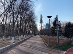 -大兴滨河森林公园