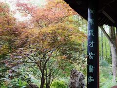 -上海醉白池公园