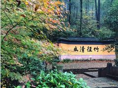 -莫干山风景区