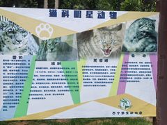 -青藏高原野生动物园