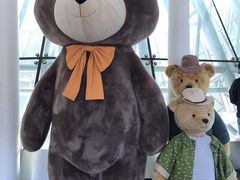 -济州岛泰迪熊博物馆