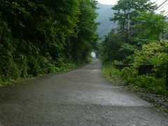 -湖州龙王山景区