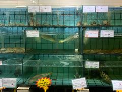 水产区-海岛渔村大酒店(云霄路店)
