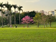 -荔香公园