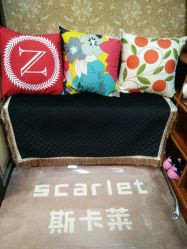 -scarlet斯卡莱美容护理机构