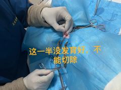 -灵美宠物诊所