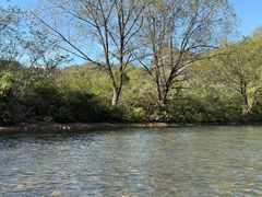 -九曲溪竹筏码头