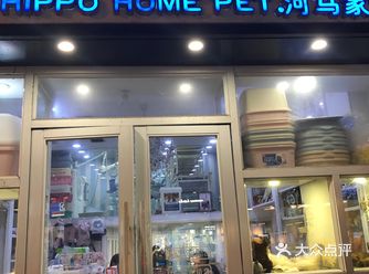 每次路过的时候都会停下脚步看一会儿橱窗里可爱的阿柴