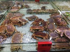 面包蟹-渔傅·蓝海岸霞浦海鲜(正祥店)