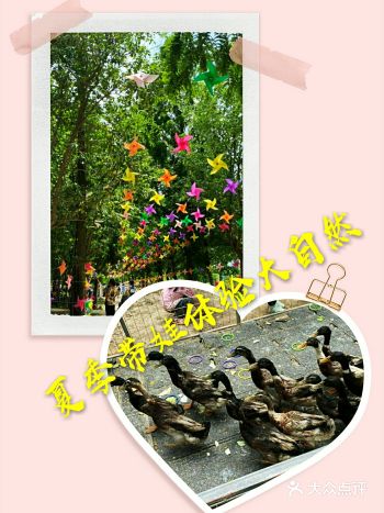 夏天带着娃娃遛遛百邻庄园体验大自然