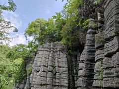 -梭布垭石林景区