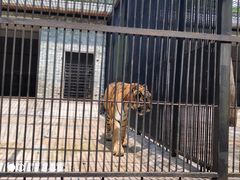 -广东茂名森林公园