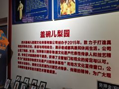 -盖碗儿梨园·变脸吐火·川剧(天府广场店)
