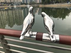 -西北湖绿化广场