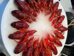 -红盔甲·小龙虾(天钥桥店)