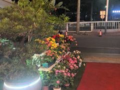 -山水茶艺馆·点心粤菜·30年老字号