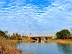 -尚贤河湿地