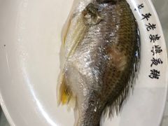 -长平老姿娘夜粥(平东一街店)
