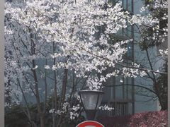 -浙江大学(玉泉校区)