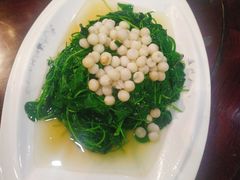 -吴门人家·苏宴宫廷菜(拙政园店)