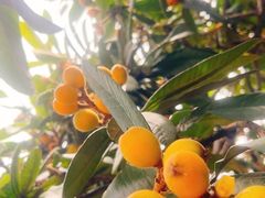 -矮人松糕(小南店)