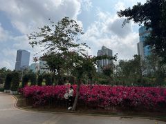 -万绿园