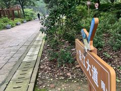 -上海滨江森林公园