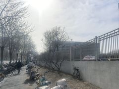 -首都医科大学附属北京天坛医院