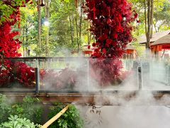 -二荆条·蜀鲜汇城市森林火锅