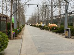 -南宫五洲植物乐园