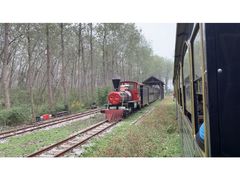 -合肥滨湖国家森林公园