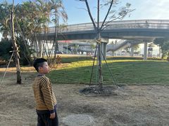 -华侨公园
