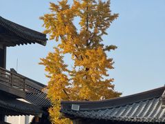-香积寺