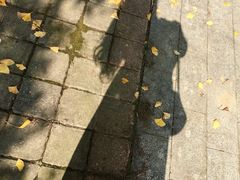 -尚贤河湿地