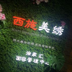 -西施无菌半永久纹绣眉眼影唇轻增发纹发际线