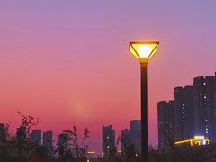 -曹州牡丹园