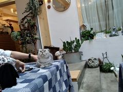-拾壹cafe·工作室