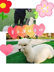 -萌宠亲子动物乐园(槐房万达店)