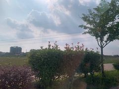 -梁子湖东篱老屋生态庄园