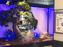 -绿茶餐厅(成都大悦城店)