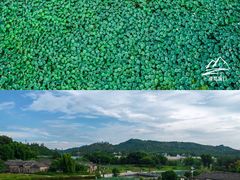 -苏家围·东江画廊旅游景区