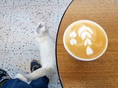 -叁秋咖啡 SANQIU COFFEE(天津河北路店)