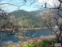 -广州市流溪河国家森林公园