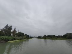 -三垟湿地