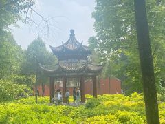 -洛阳白马寺