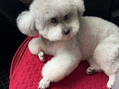 -宠颐生宠物医院·心肾内科·猫专科诊疗中心宠巢店