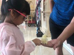 -兴芮温泉度假区