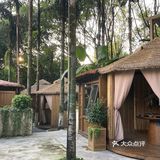 森林木屋的悠闲