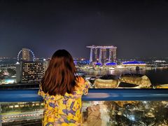 -新加坡瑞士史丹福酒店