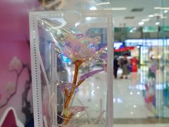 -巴黎春天(陕西路店)